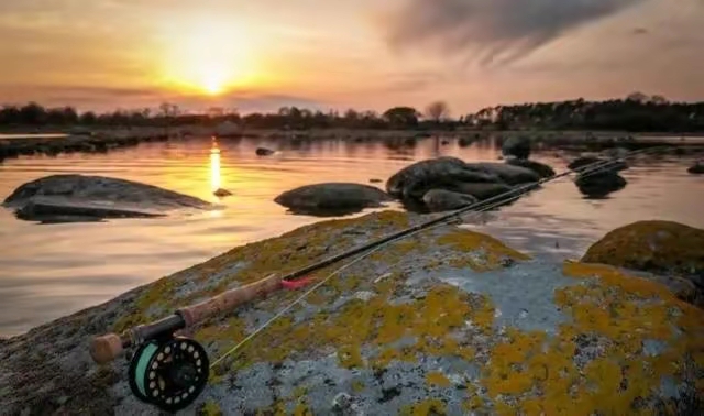 |喜欢钓鱼的你可知道鱼一般藏在什么地方吗？