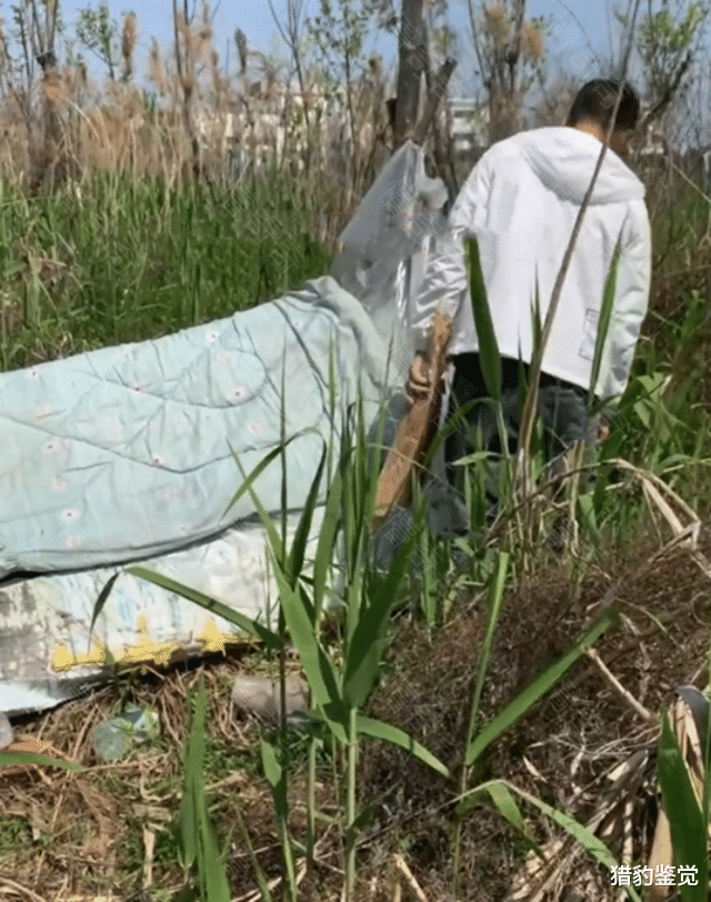 上海市|上海:男子流浪野外,宁肯月光也不上班,“还是个大学生”