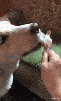 “当代年轻人能懒到什么程度？”床头柜用了两年都没拆封