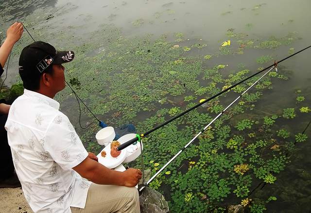 冷知识|野钓草鱼难度高？那是你不知道这3个“冷知识”，想空军都难