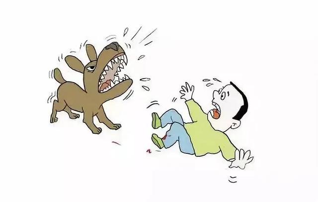 【以案释法】饲养动物有新规 危险动物伤人负全责