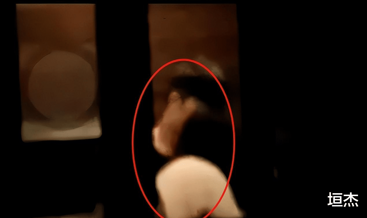 明星|造假还翻车,丑相百出!细扒这6个明星的荒唐事,一个比一个离谱