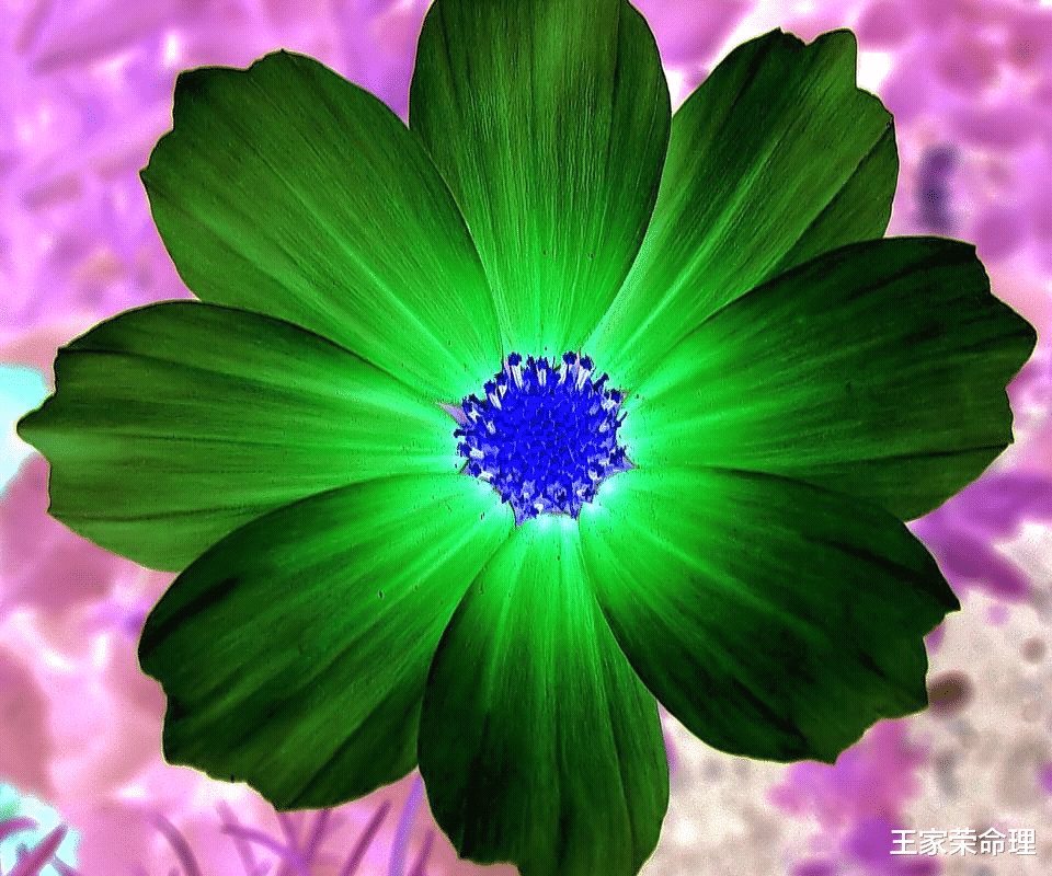 职业教育|十二星座查询运程 每天运势 2022年11月29日星期二