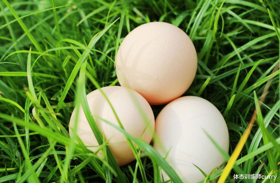 牛肉|牛肉壮身体?提醒:人到中年,别舍不得吃,5种食物易消化有营养