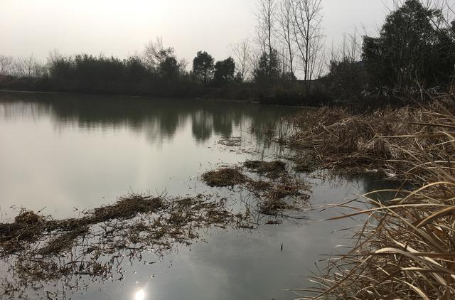 |春天鱼上浮怎么钓底？3种方法屡试不爽，尤其最后一种老手都说好