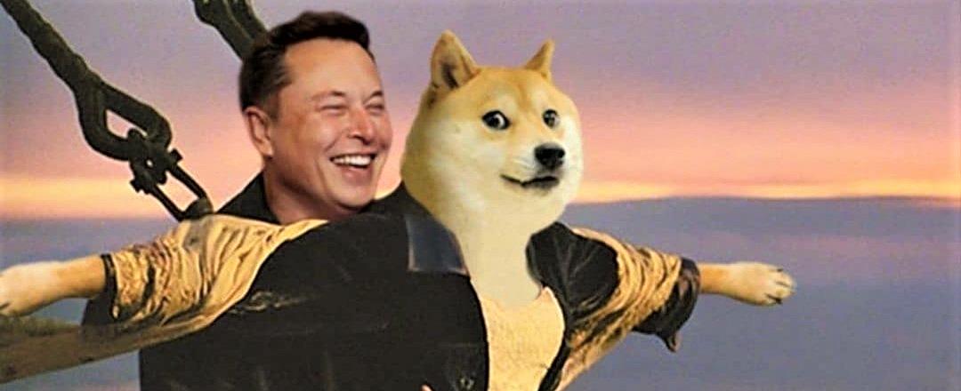 皇家马德里|在马斯克收购推特后，狗狗币的交易量出现飙升