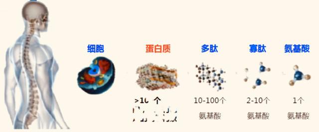 真有外星生命吗?科学家首次确认地外生命之源存在,说明两个问题