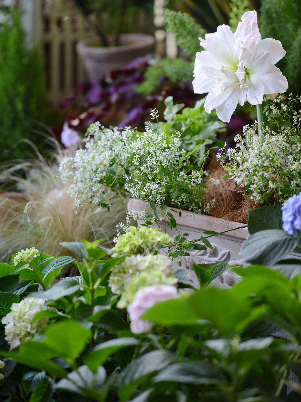 没有大院子,14㎡方寸阳台也能打造“四季小花园”,被美到了