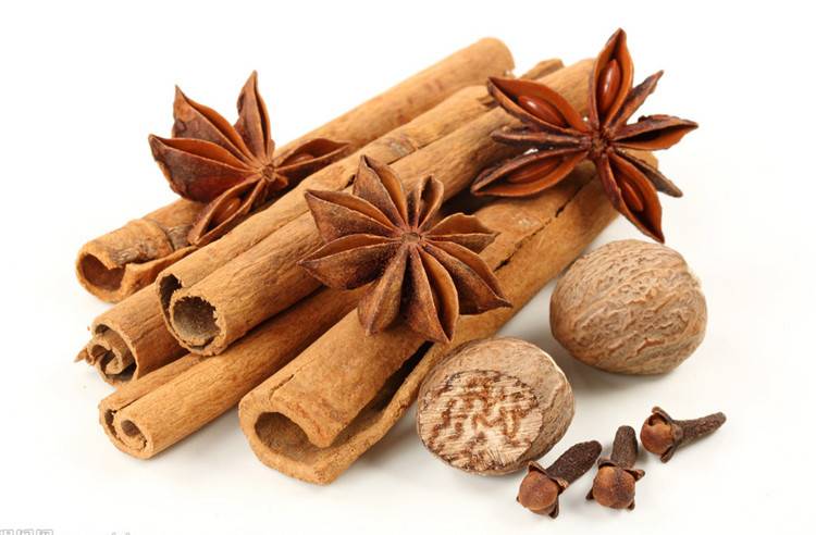 洋葱|气不足，身体虚！四味中药，心肝脾肺肾之气统补，让你元气满满