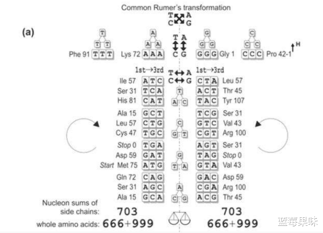人类到底来自哪里?“古猿起源”和“外星起源”,哪个更靠谱?