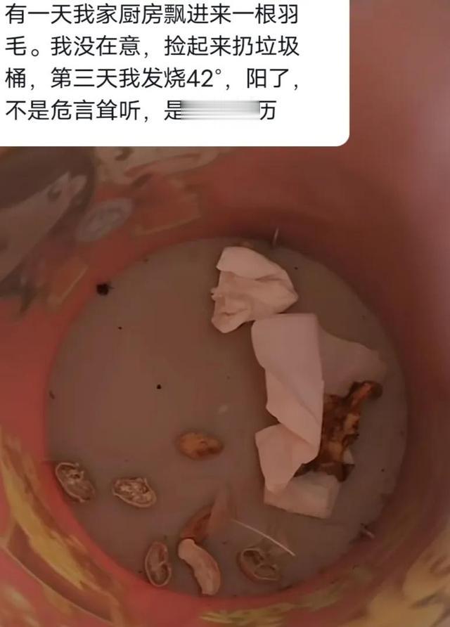 听说候鸟计划了吗?你奇怪为什么足不出户还能感染病毒吗?