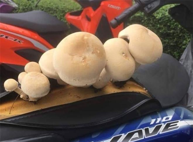 40个被人类遗忘的角落,最后惨遭大自然的反噬