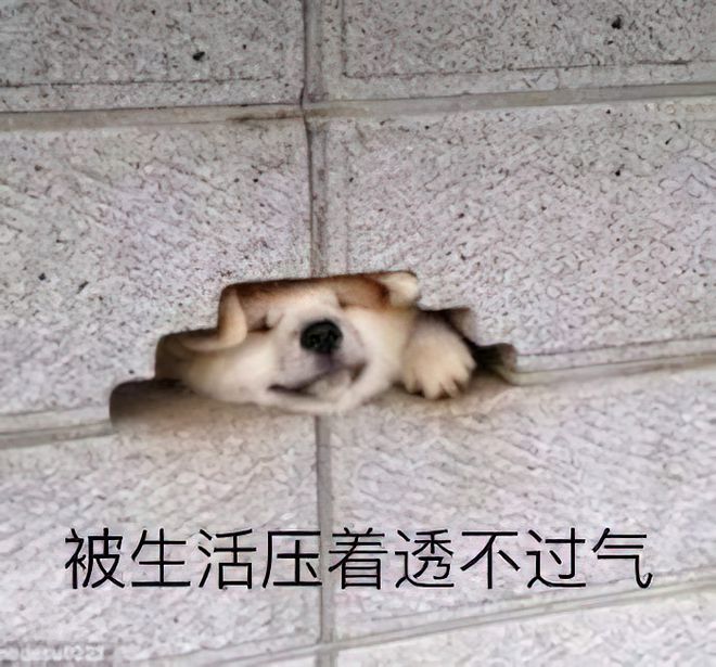 裁员|我的HR朋友说，什么35岁被优化，你们太乐观了，现在公司都卡30岁