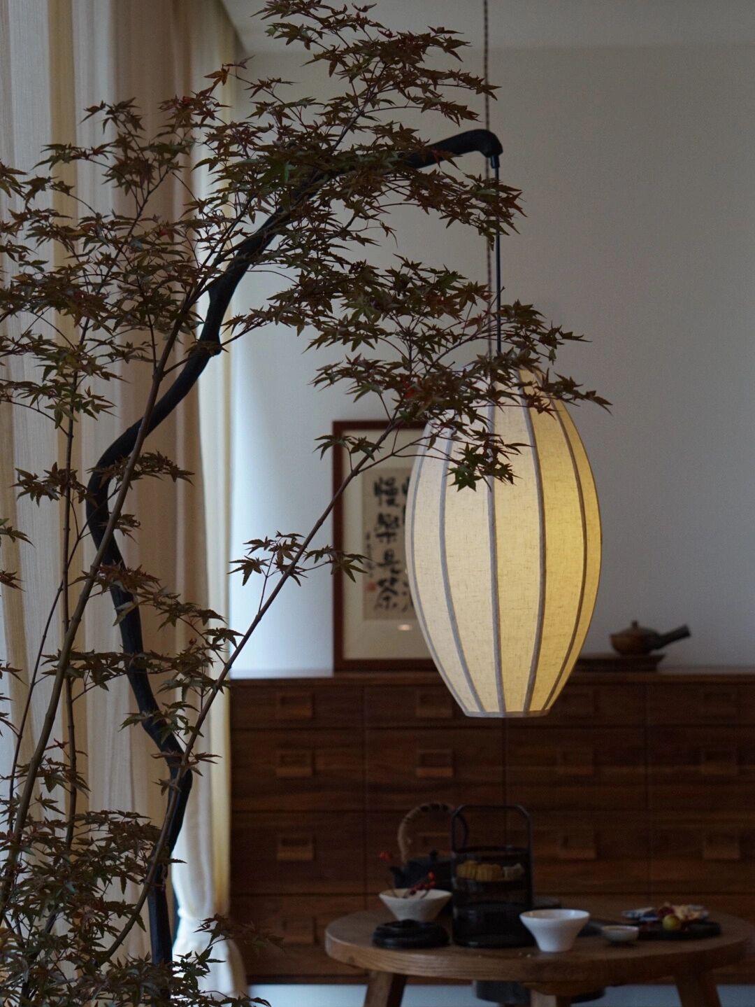 封闭式阳台,一样可以“造花园”,教你改造有花有鱼的室内花园