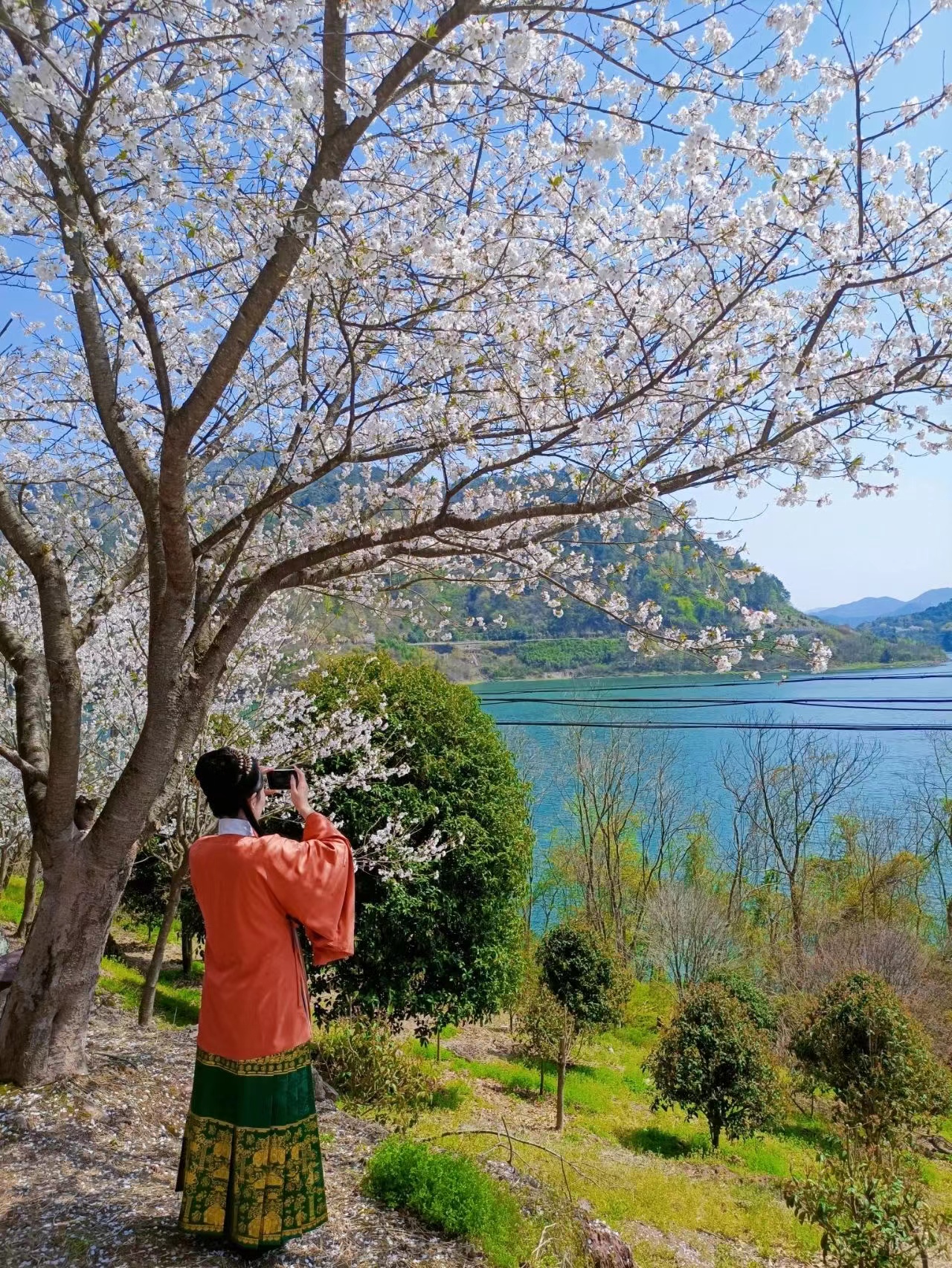 宁波|宁波最美赏樱路线，一路樱花相随美不胜收，一起去感受浪漫呀