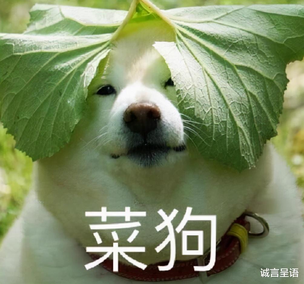 快手视频|当年为了面子，选了985末流专业，如今找工作，开始后悔了