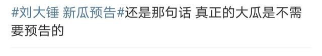 阿Sa|刘大锤要爆“出轨”瓜,网友:又要宣传18线小咖吗