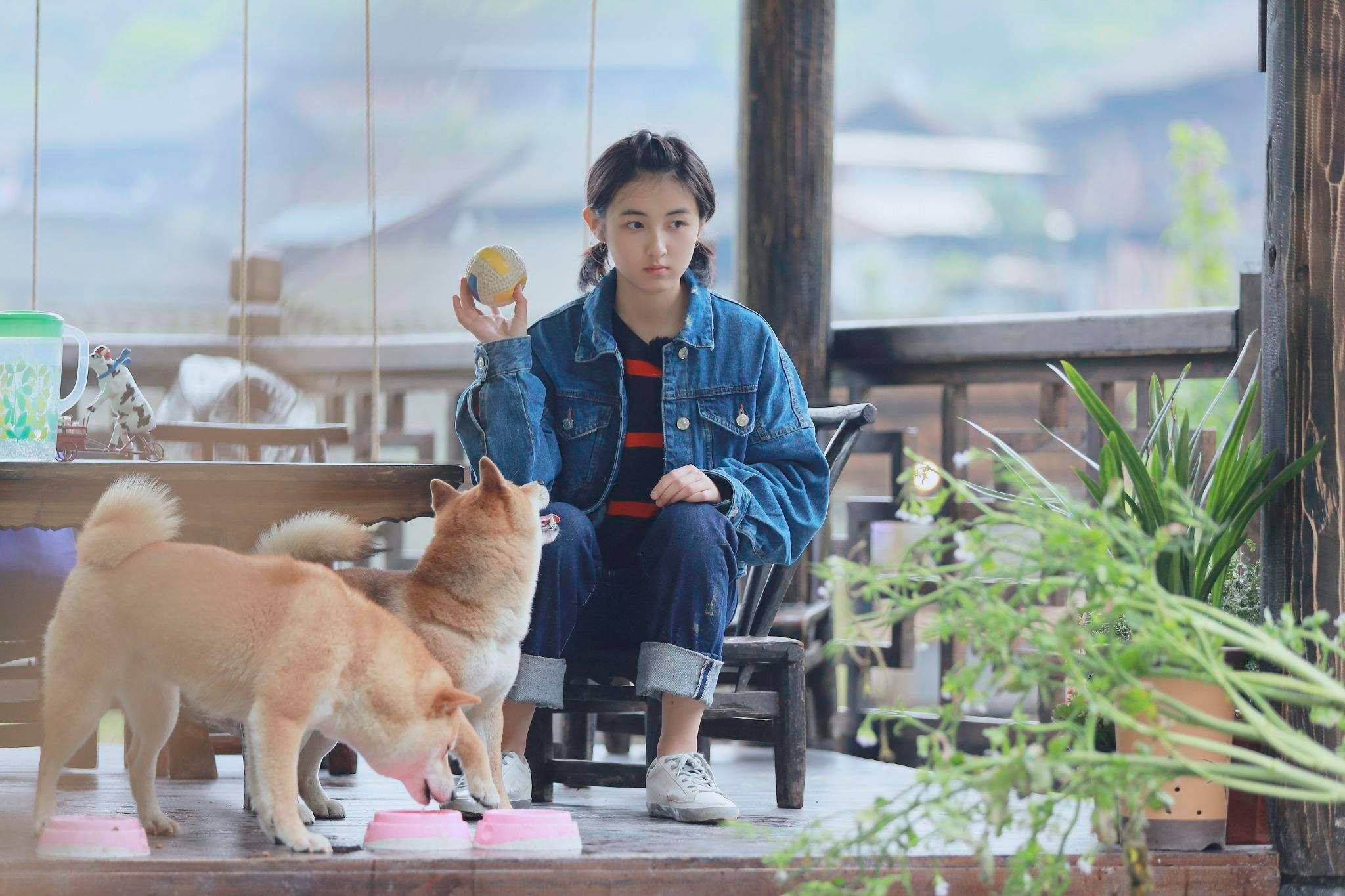 张子枫|张子枫盗用他人图片，被网友嘲笑她没有脑子，还要立文艺少女人设