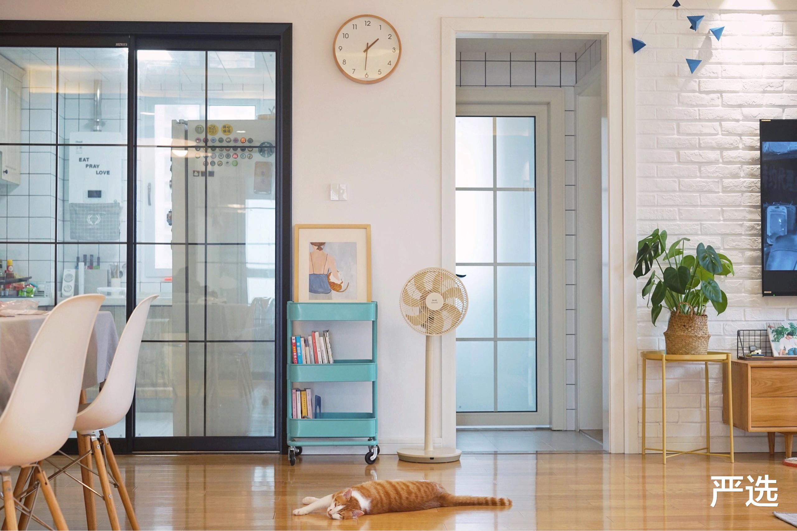 这款“循环扇”用了7天后,家里3台电风扇、2个加湿器,全送人了