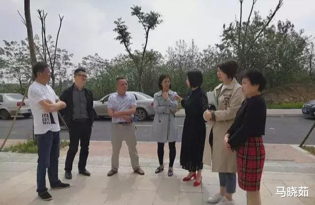 我们还真是误会陈副区长了,她本人目前离异,但并非是单身!