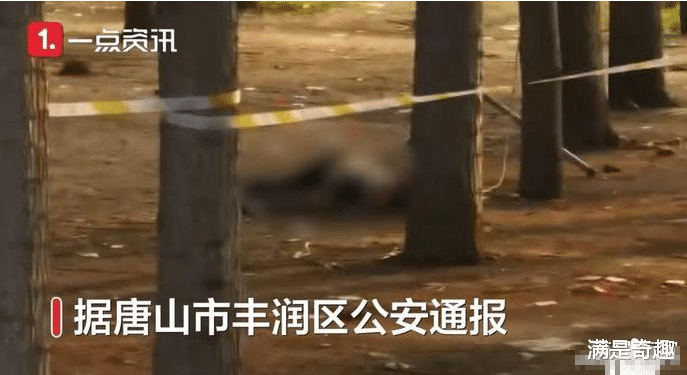 唐山杀人案,死者是不法分子的爆料人?