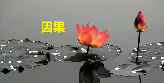 小区施工人员被误认为是小偷,围观群众不明事理将其殴打致死!