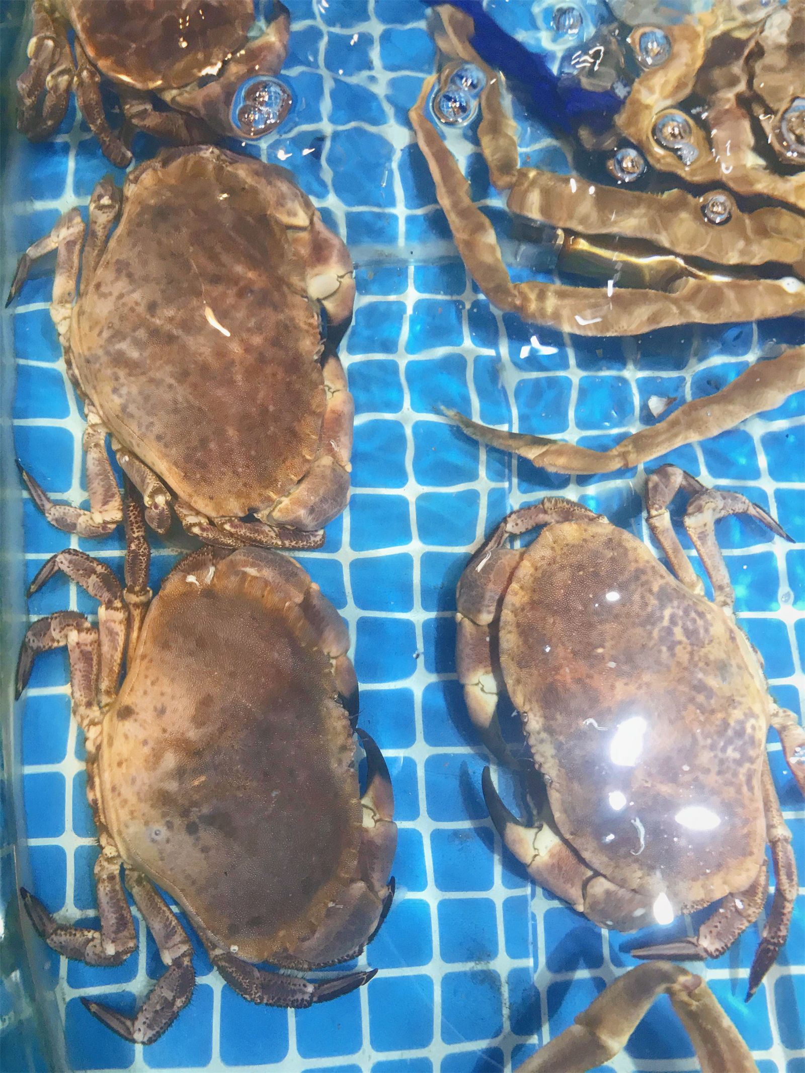 日照|日照超好玩的旅游景点，日照几个很棒免费的海水浴场