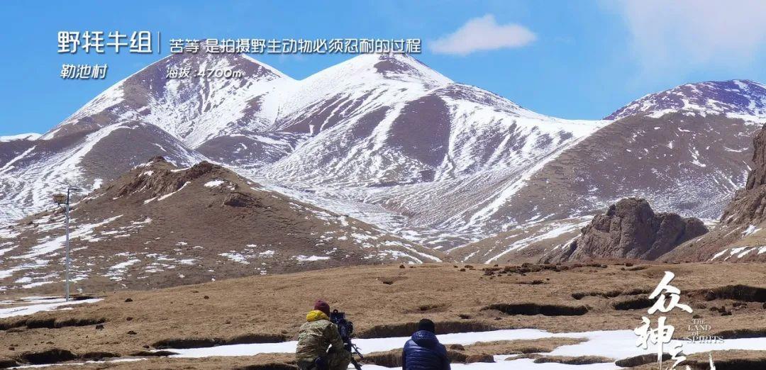 众神之地|强推！《众神之地》一集封神，每一帧都美到窒息！