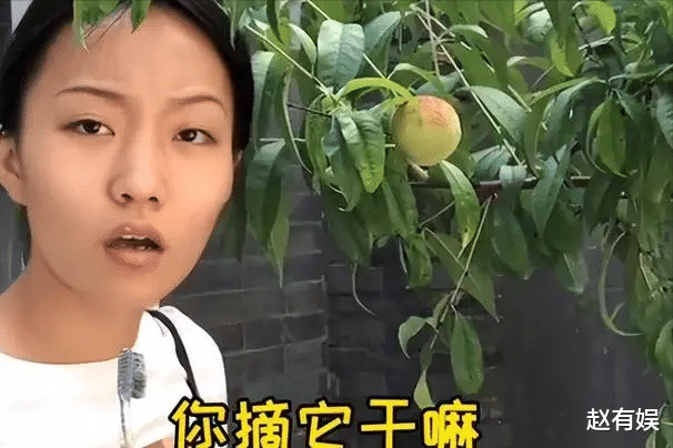 宋轶|疯产姐妹宣布和平解散，邵雨轩重新注册账号，张小花持原账号归属