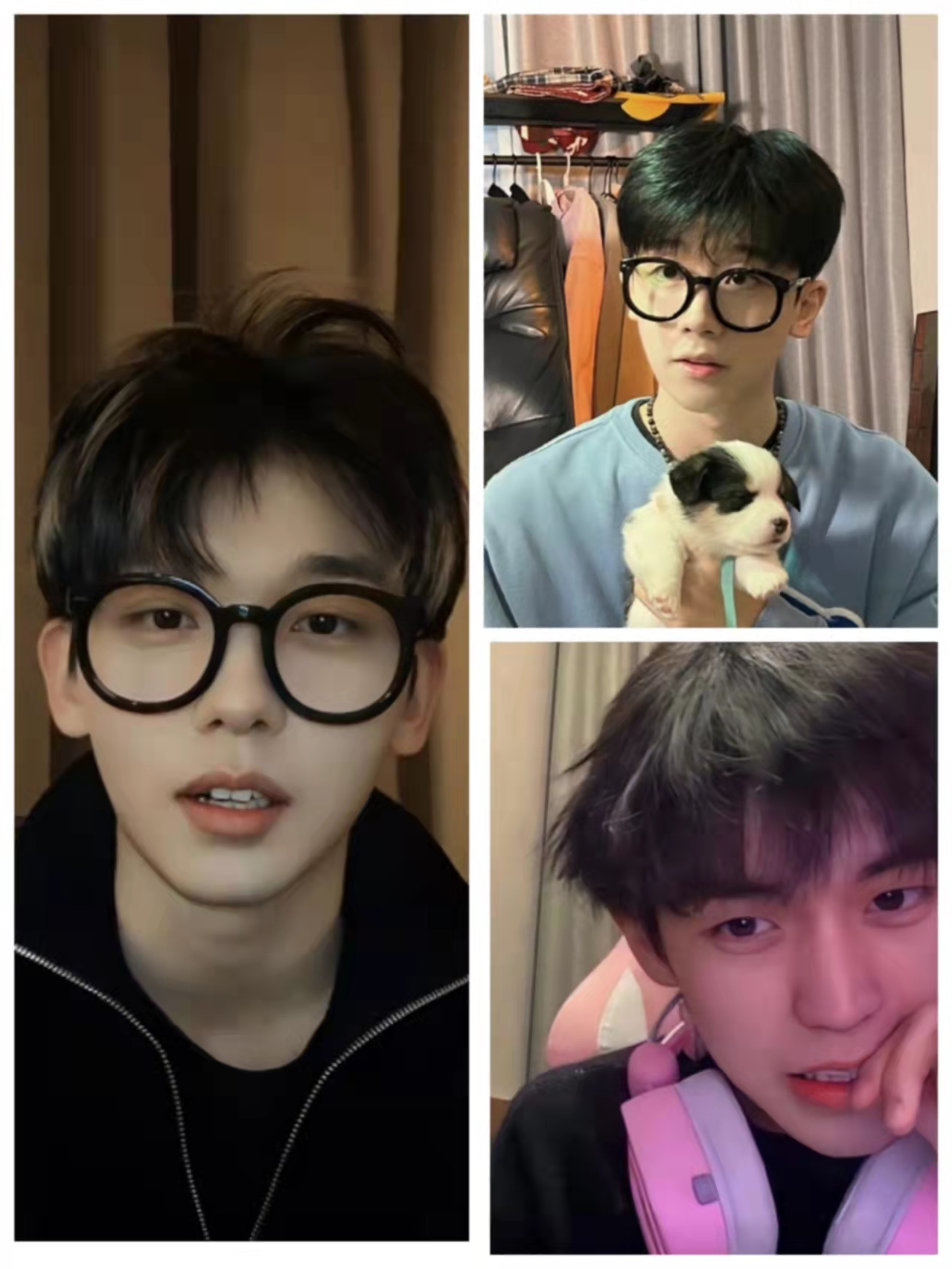 侯佩岑|她是男网红眼中的公主,却被说成心机女