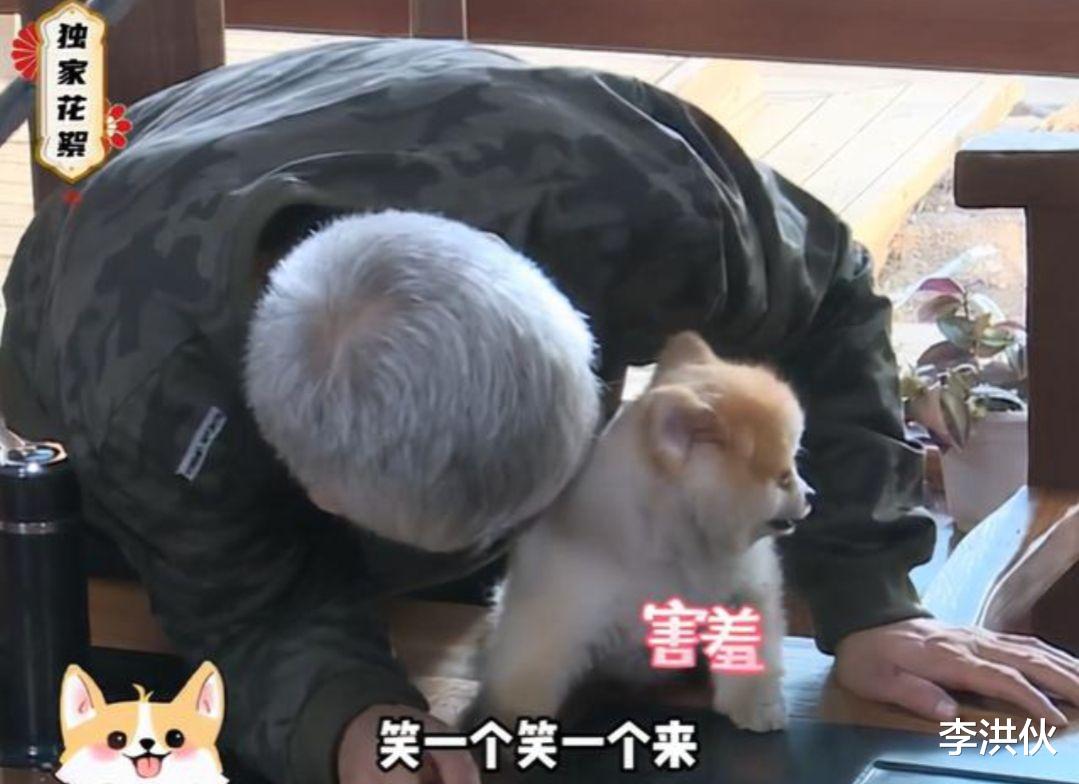 赵本山|啥时候是个头？儿女徒弟都不争气，只有小狗能让赵本山开心