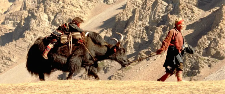 藏族|豆瓣评分8.6，这样的信仰不需要坚守