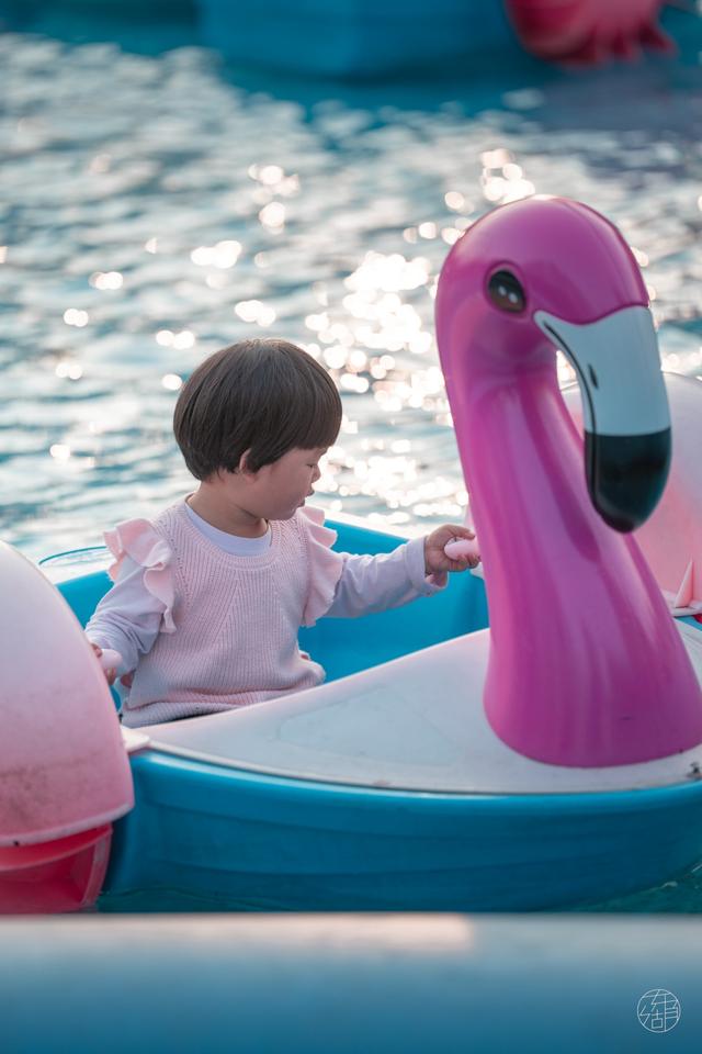 马鞍山森林公园|全武汉最大的地肤花海红了!快来打卡