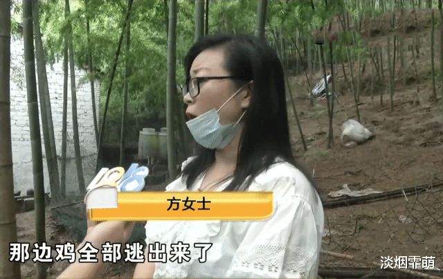 济南楼市|嫉妒养殖场很挣钱,房东无理要求涨7倍房租,被拒后放走1500只鸡