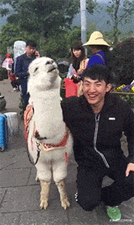 我的世界|“钓鱼被咬了一口,谁知道这是什么咬的?”