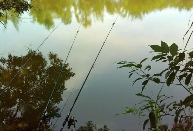 三伏天|三伏天钓鱼总攻略:牢记“4钓4不钓”,远离空军,渔获轻松翻倍