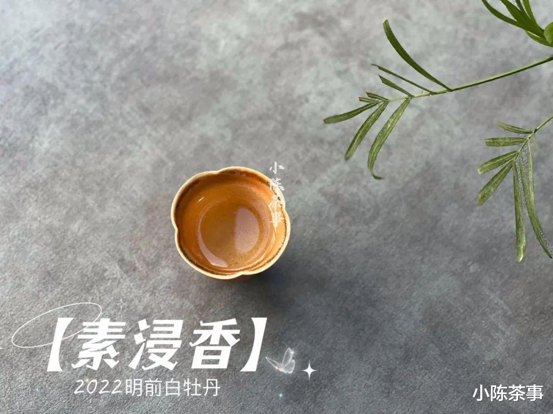 白茶|新手买春白茶,白毫银针和白牡丹该选哪个?或者有更好的选择?