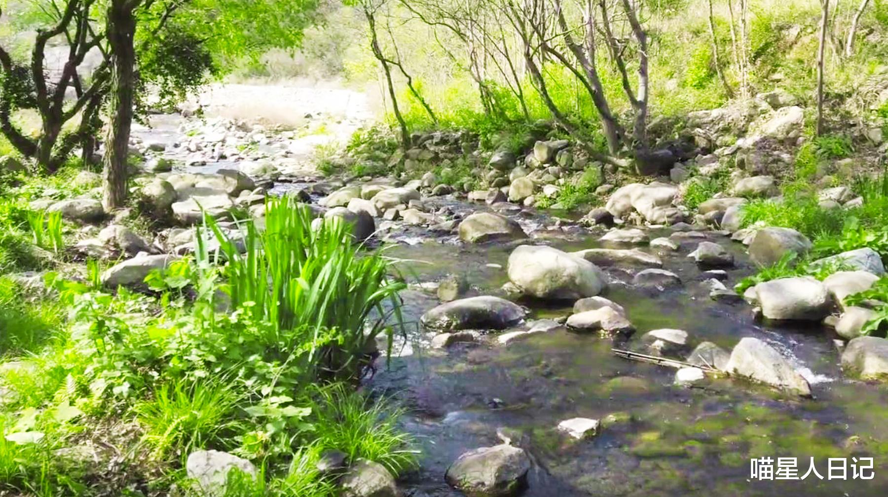 武汉|八月游武汉黄陂这座大山里的景区,顺着溪流随拍,清凉环境很舒服