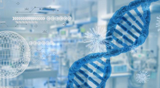 比“熊猫血”更罕见的“黄金血”,科学调查显示,仅50人有此血型