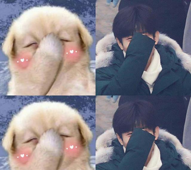 蒋雯丽|成毅猫耳错位图好萌,网友:一旦接受了这种奇怪设定就摆脱不了!