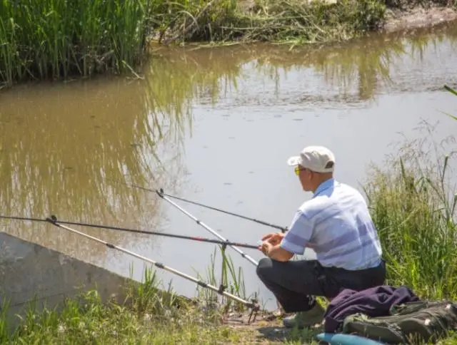 饵料|钓友牢记这4个关键字,早春垂钓轻松得鱼,渔获不知道要好几倍!