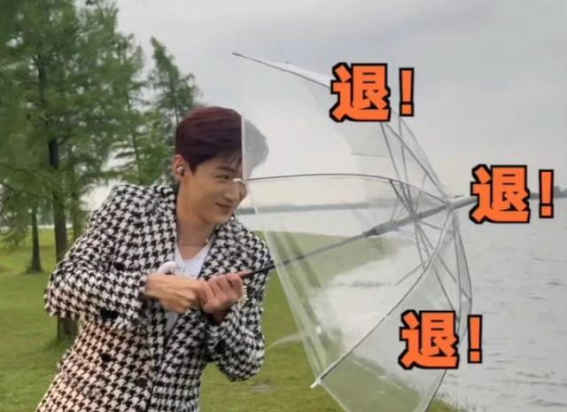 白敬亭|白敬亭的伞被吹飞了,这次不是演的