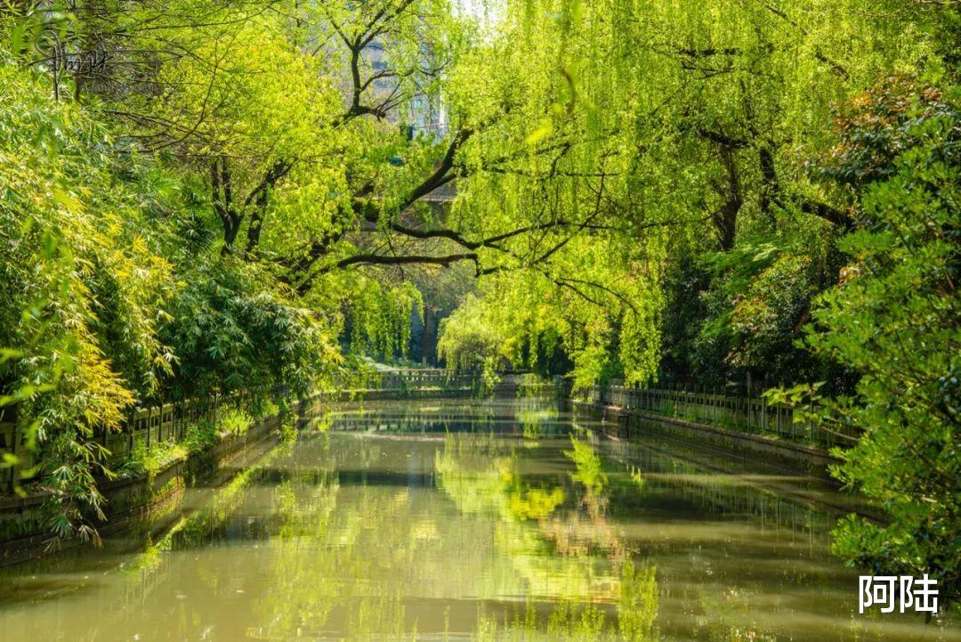 杭州|在古泉池里钓鱼，相信这样的事情也只有在杭州才可能发生了吧