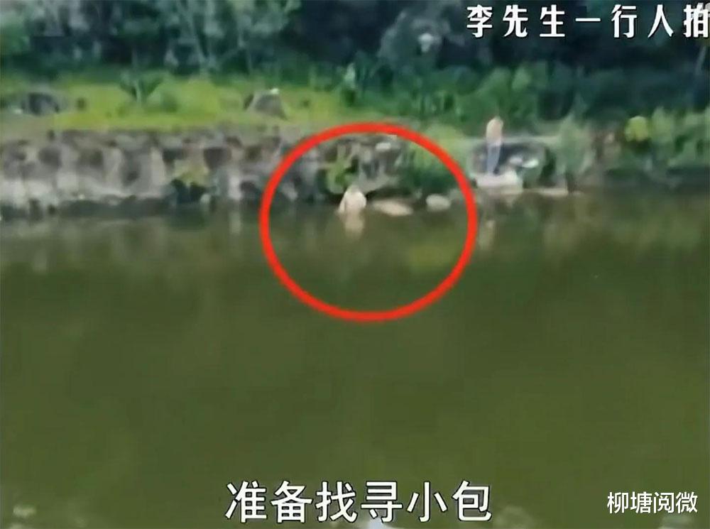 游客在景区内下水捞挎包,不幸溺水身亡,家属索赔96万元