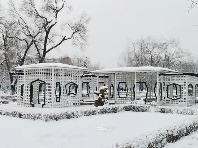 雪容融|下雪了，满街都是“雪容融”｜冰城人已经在冰场、雪地撒欢儿了