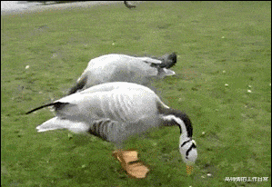 钟丽缇|钟丽缇直播秀身材,穿裸色跳操被嘲,工作人员递衣服救场!