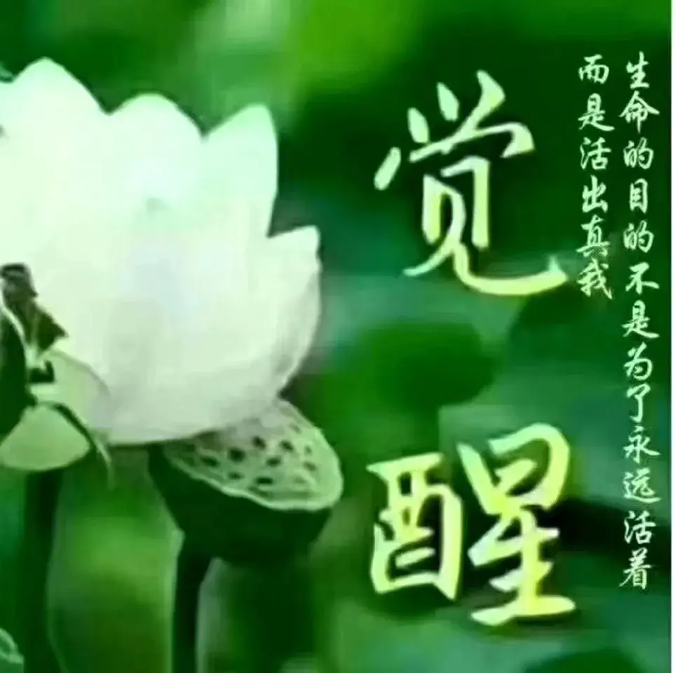 |火土两旺的女命