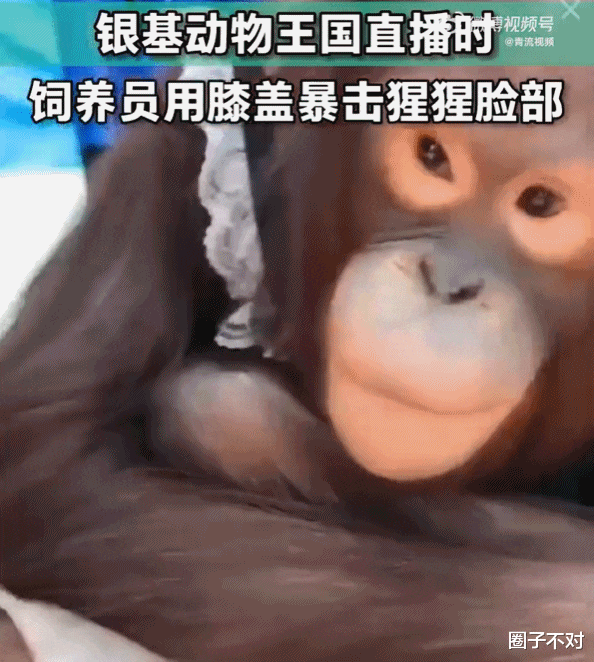 仔细看,这滴眼泪淹没的是不是你心目中的人道主义