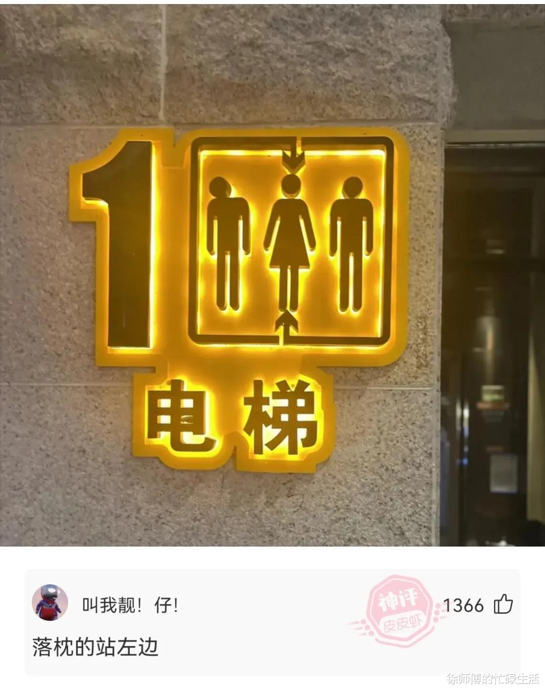 张庭|张庭林瑞阳现身机场一路小跑,落魄到像“逃难”,儿子早已拉黑其联系方式