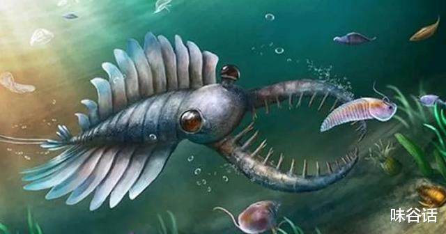 难分首尾的怪诞虫?5亿年前,寒武纪生物史的宏伟篇章!